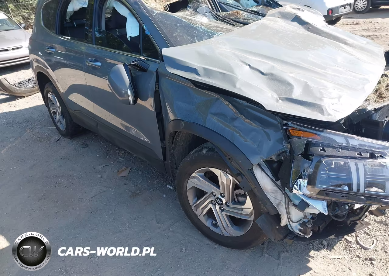 2023 Hyundai Santa Fe Sel VIN:5NMS2DAJ0PH566770 - 13