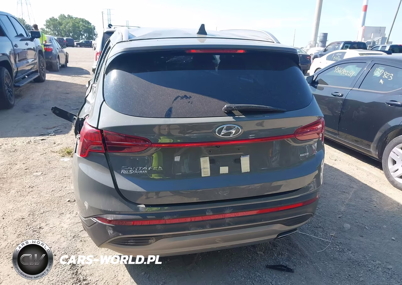 2023 Hyundai Santa Fe Sel VIN:5NMS2DAJ0PH566770 - 15