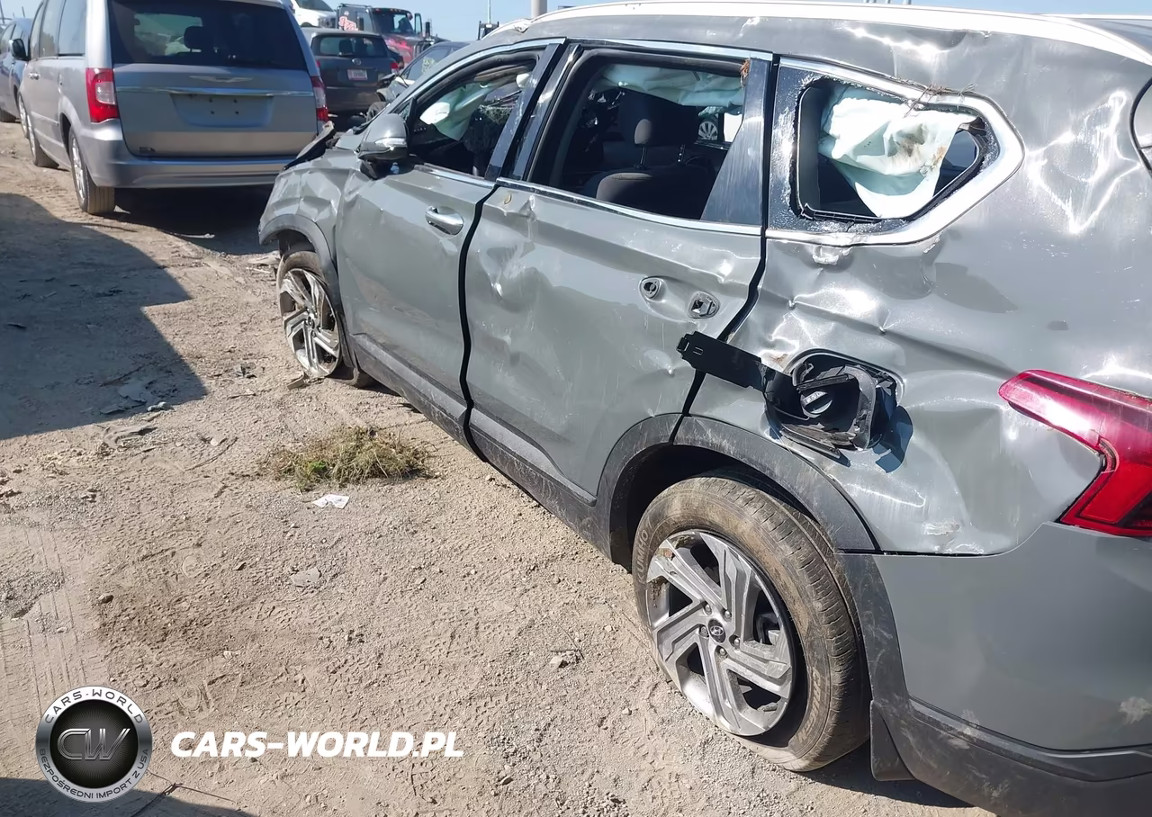 2023 Hyundai Santa Fe Sel VIN:5NMS2DAJ0PH566770 - 16
