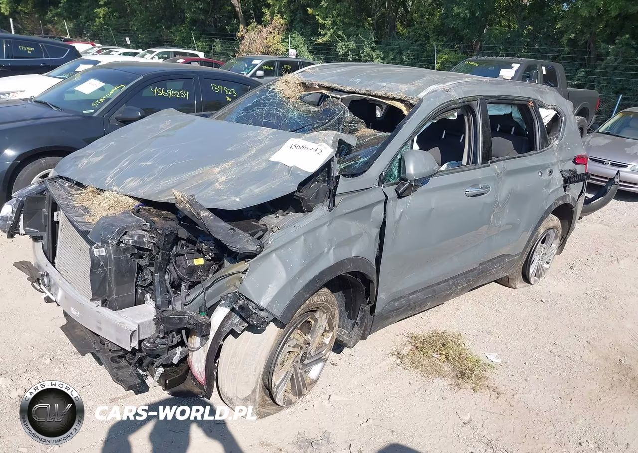 2023 Hyundai Santa Fe Sel VIN:5NMS2DAJ0PH566770 - 2