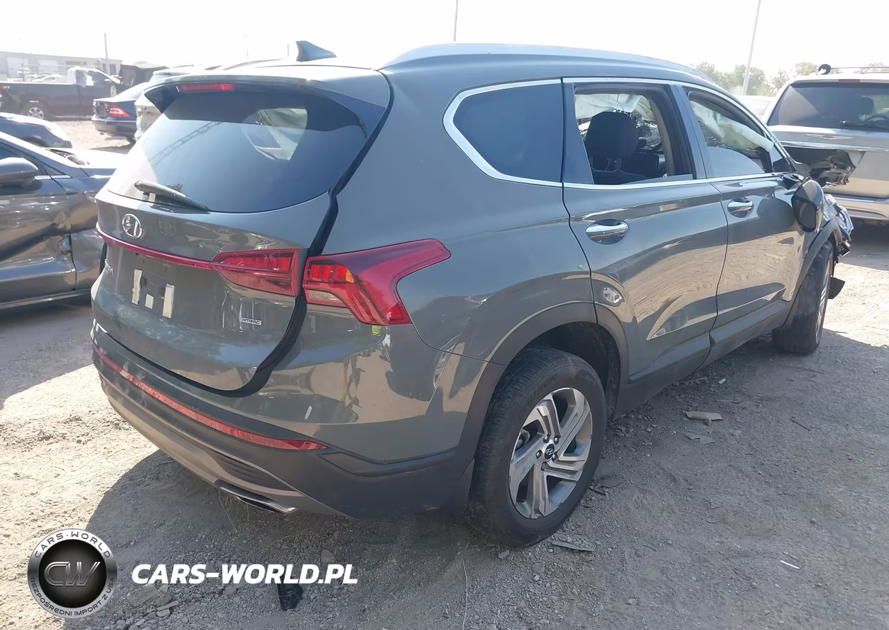 2023 Hyundai Santa Fe Sel VIN:5NMS2DAJ0PH566770 - 4
