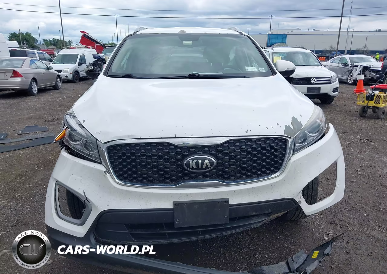 2016 Kia Sorento 2.4L Lx VIN:5XYPGDA3XGG012851 - 13