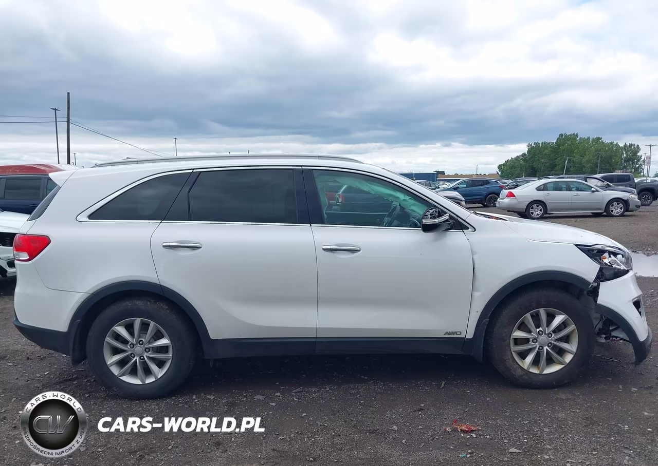 2016 Kia Sorento 2.4L Lx VIN:5XYPGDA3XGG012851 - 14