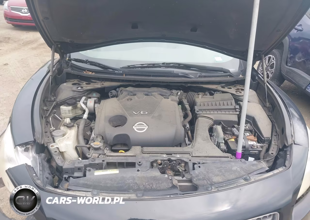 2009 Nissan Maxima 3.5 Sv VIN:1N4AA51E69C834588 - 10