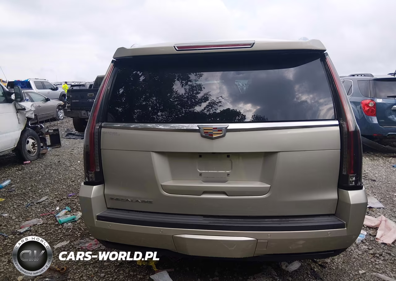 2016 Cadillac Escalade Esv Luxury Collection VIN:1GYS3HKJ9GR127799 - 16