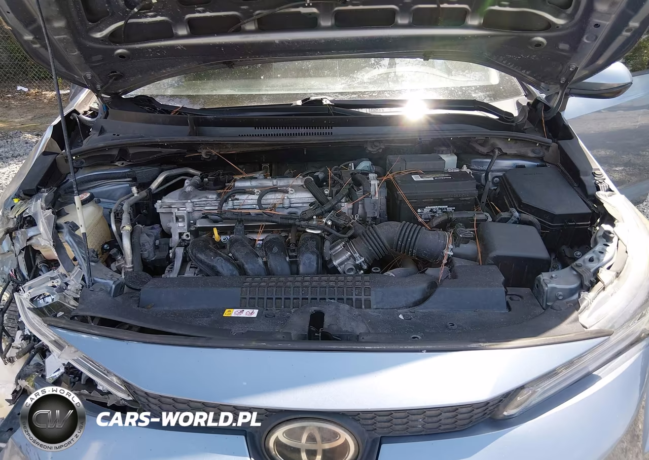 2020 Toyota Corolla Le VIN:JTDEPRAEXLJ114411 - 10