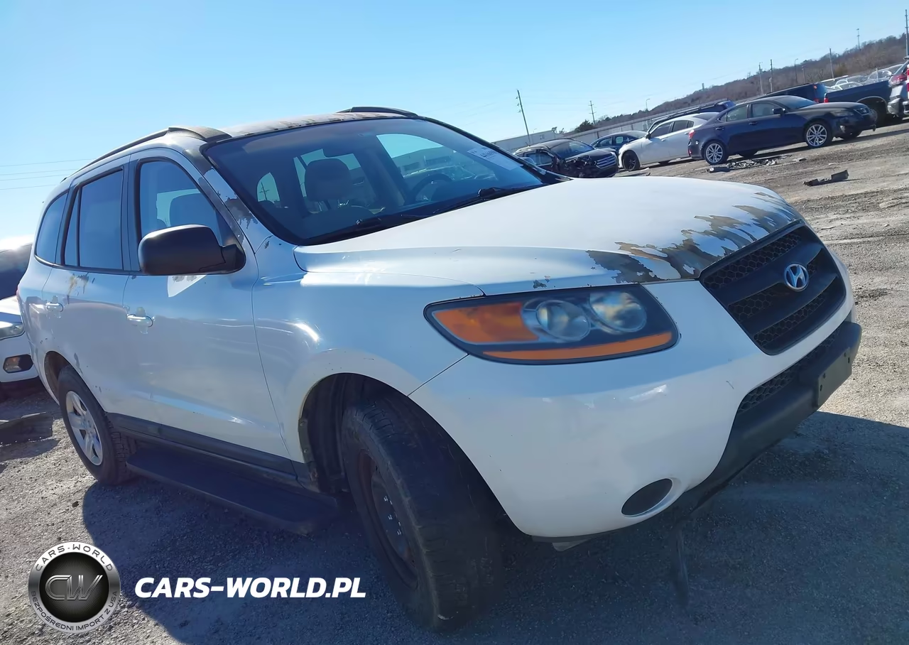 2009 Hyundai Santa Fe Gls