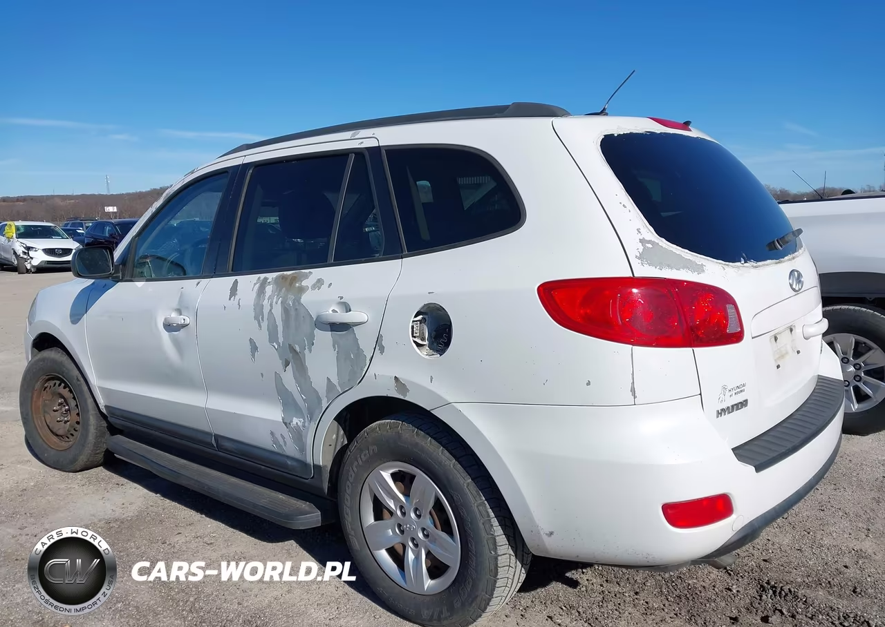 2009 Hyundai Santa Fe Gls VIN:5NMSG13D29H258462 - 13