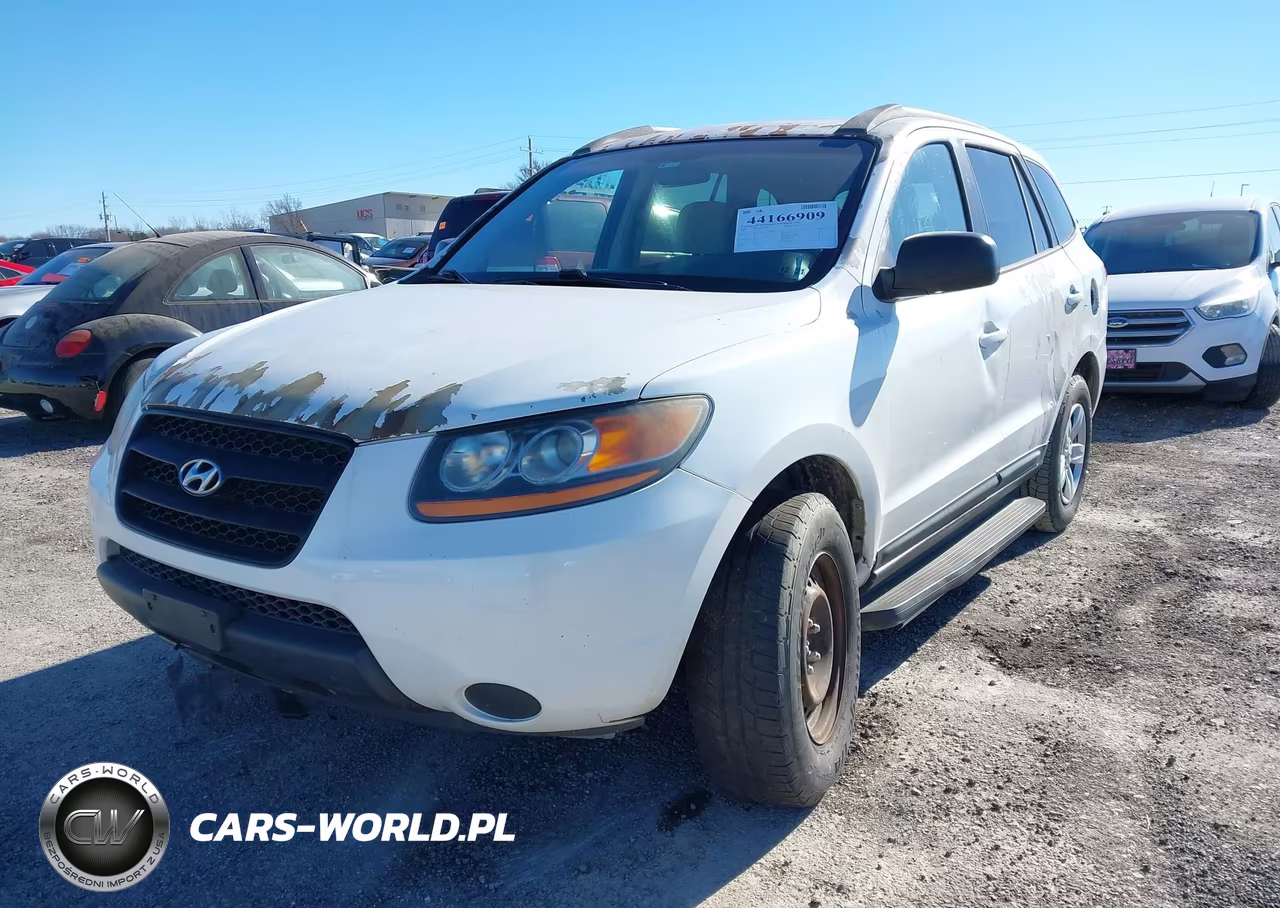 2009 Hyundai Santa Fe Gls VIN:5NMSG13D29H258462 - 2