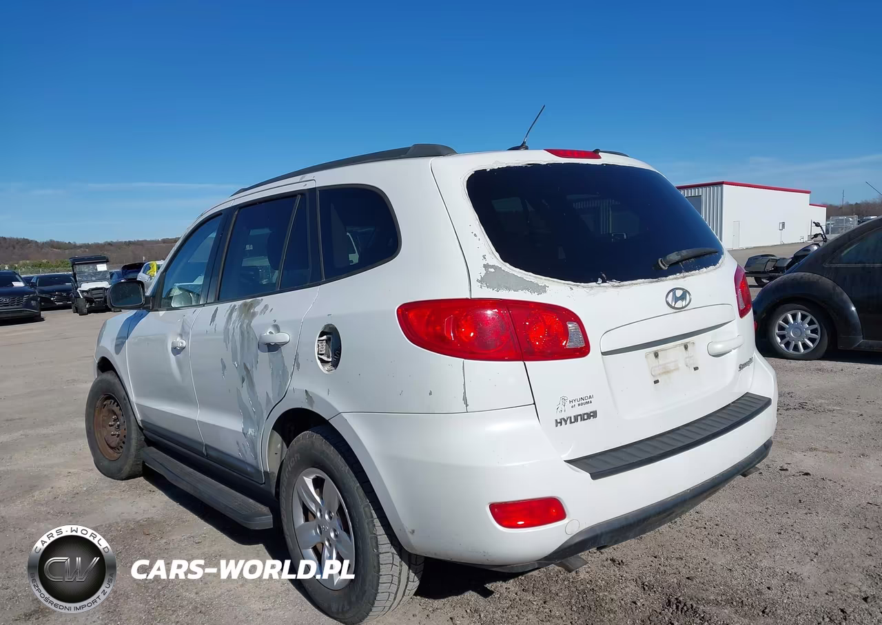 2009 Hyundai Santa Fe Gls VIN:5NMSG13D29H258462 - 3