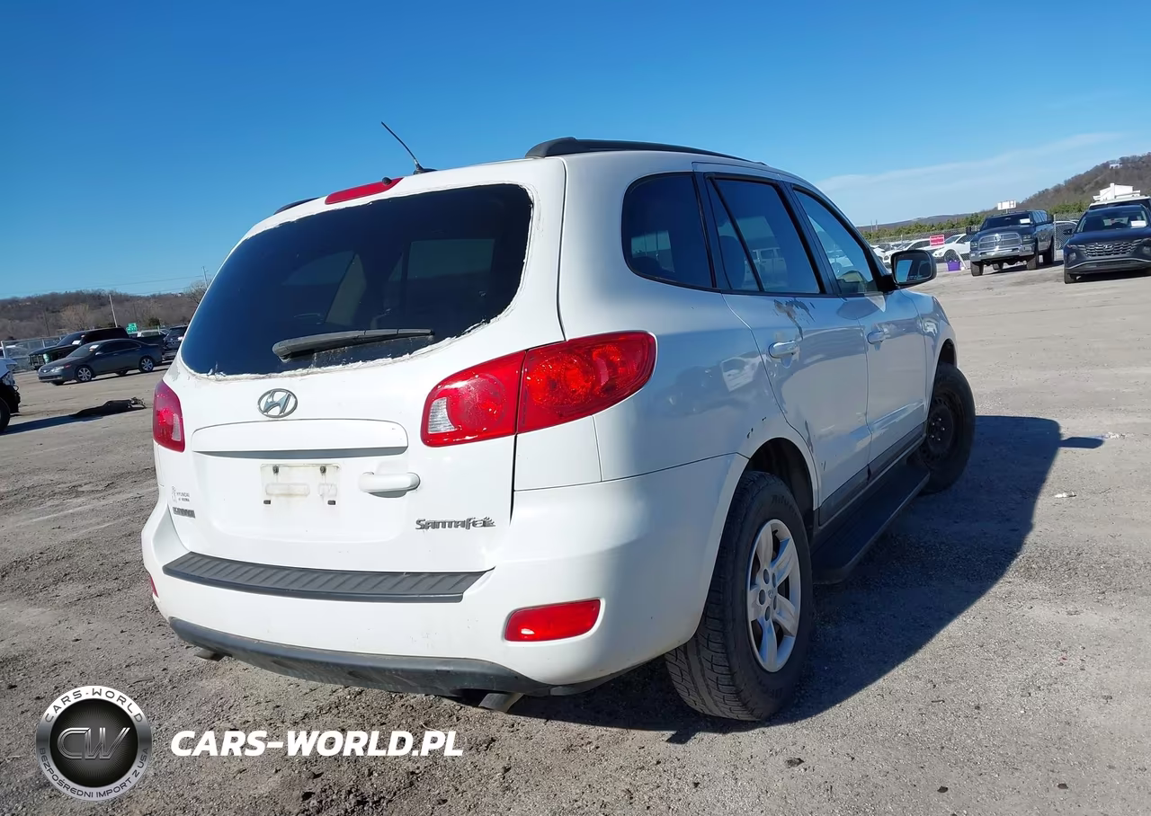 2009 Hyundai Santa Fe Gls VIN:5NMSG13D29H258462 - 4