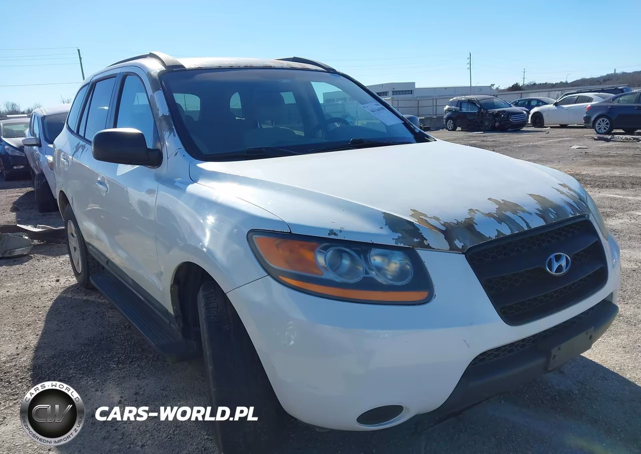 2009 Hyundai Santa Fe Gls VIN:5NMSG13D29H258462 - 6
