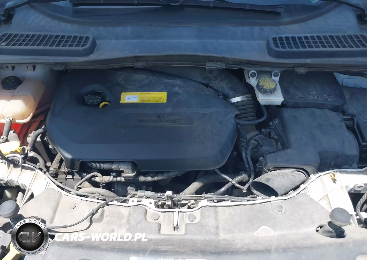 2016 Ford Escape Se VIN:1FMCU0GXXGUC10060 - 10