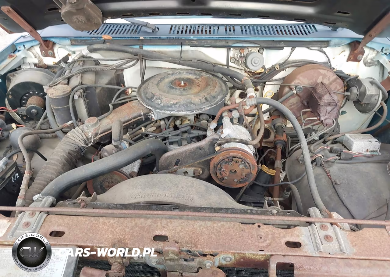 1983 Ford Bronco U100 VIN:1FMEU15F8DLA48262 - 10