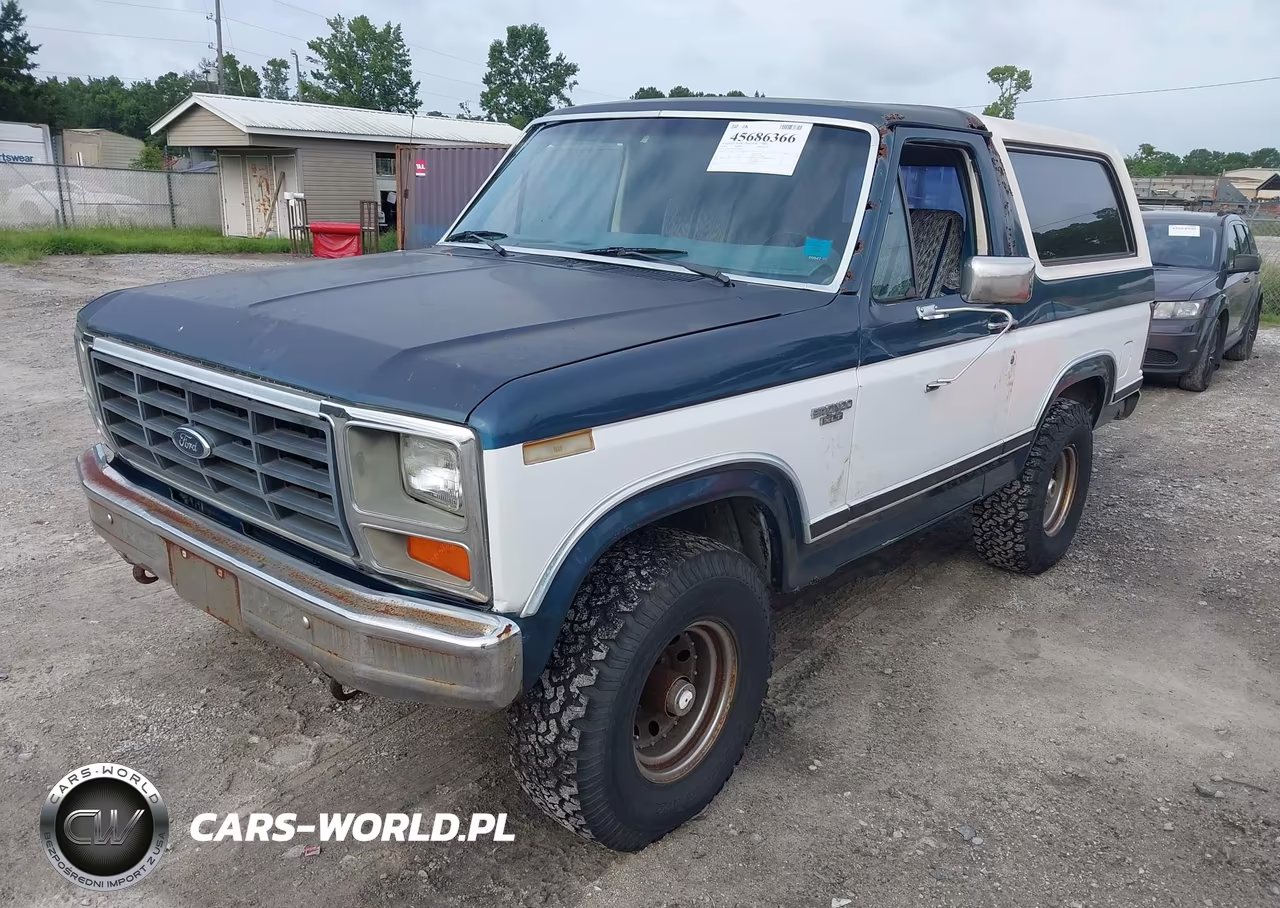 1983 Ford Bronco U100 VIN:1FMEU15F8DLA48262 - 2