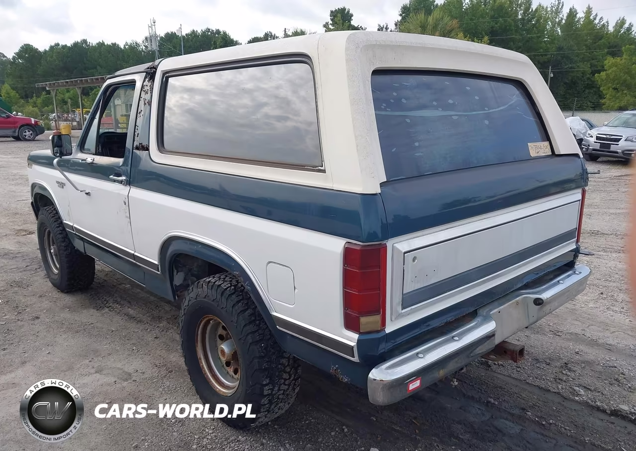 1983 Ford Bronco U100 VIN:1FMEU15F8DLA48262 - 3