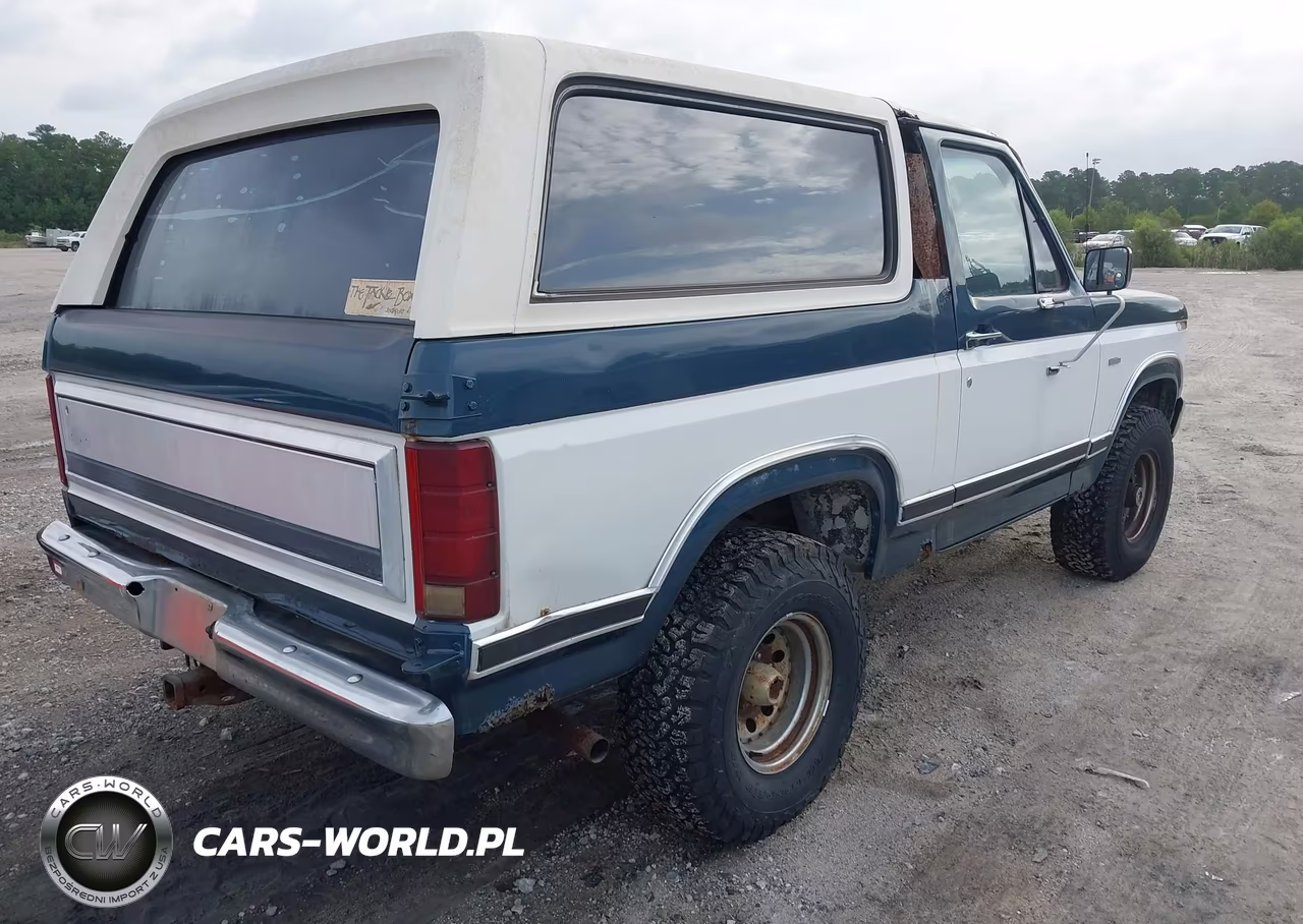 1983 Ford Bronco U100 VIN:1FMEU15F8DLA48262 - 4