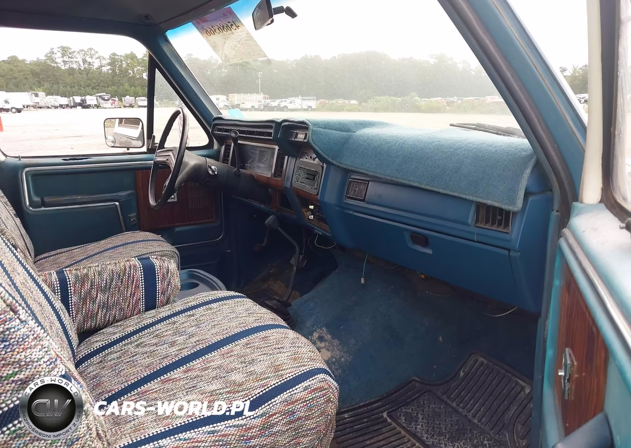 1983 Ford Bronco U100 VIN:1FMEU15F8DLA48262 - 5