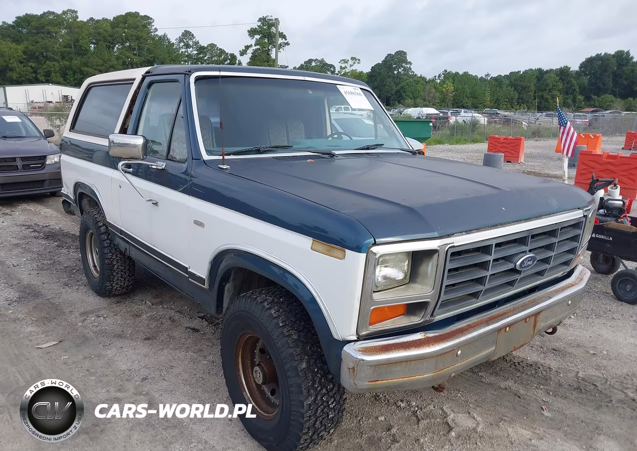 1983 Ford Bronco U100 VIN:1FMEU15F8DLA48262 - 6