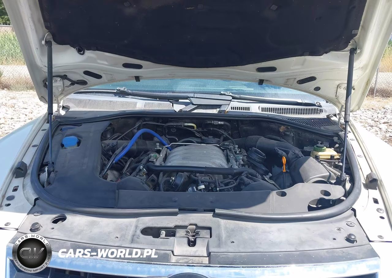 2004 Volkswagen Touareg V8 VIN:WVGCM67L84D021239 - 10