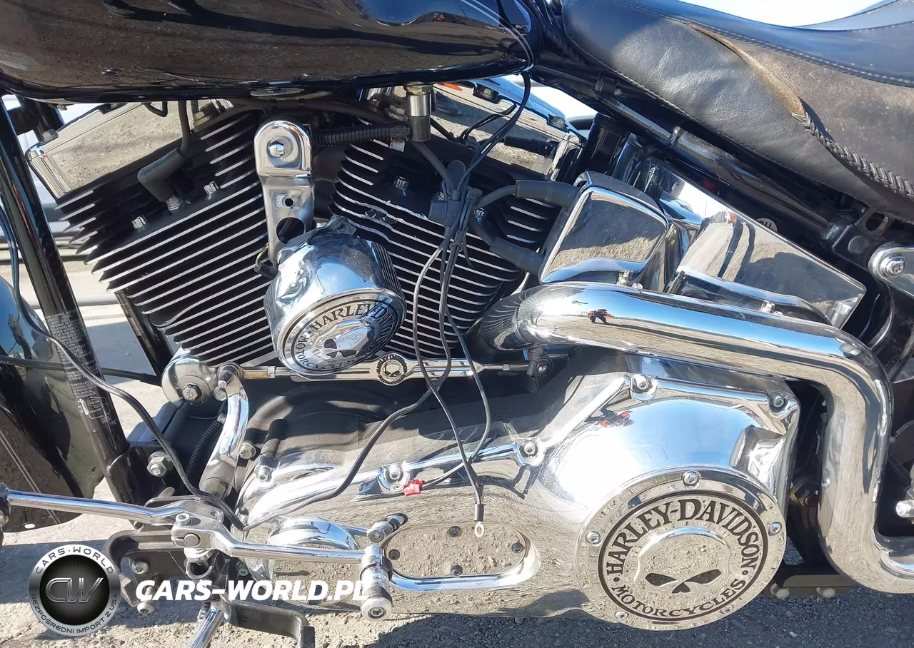2005 Harley-Davidson Flstni VIN:1HD1JDB375Y068593 - 9