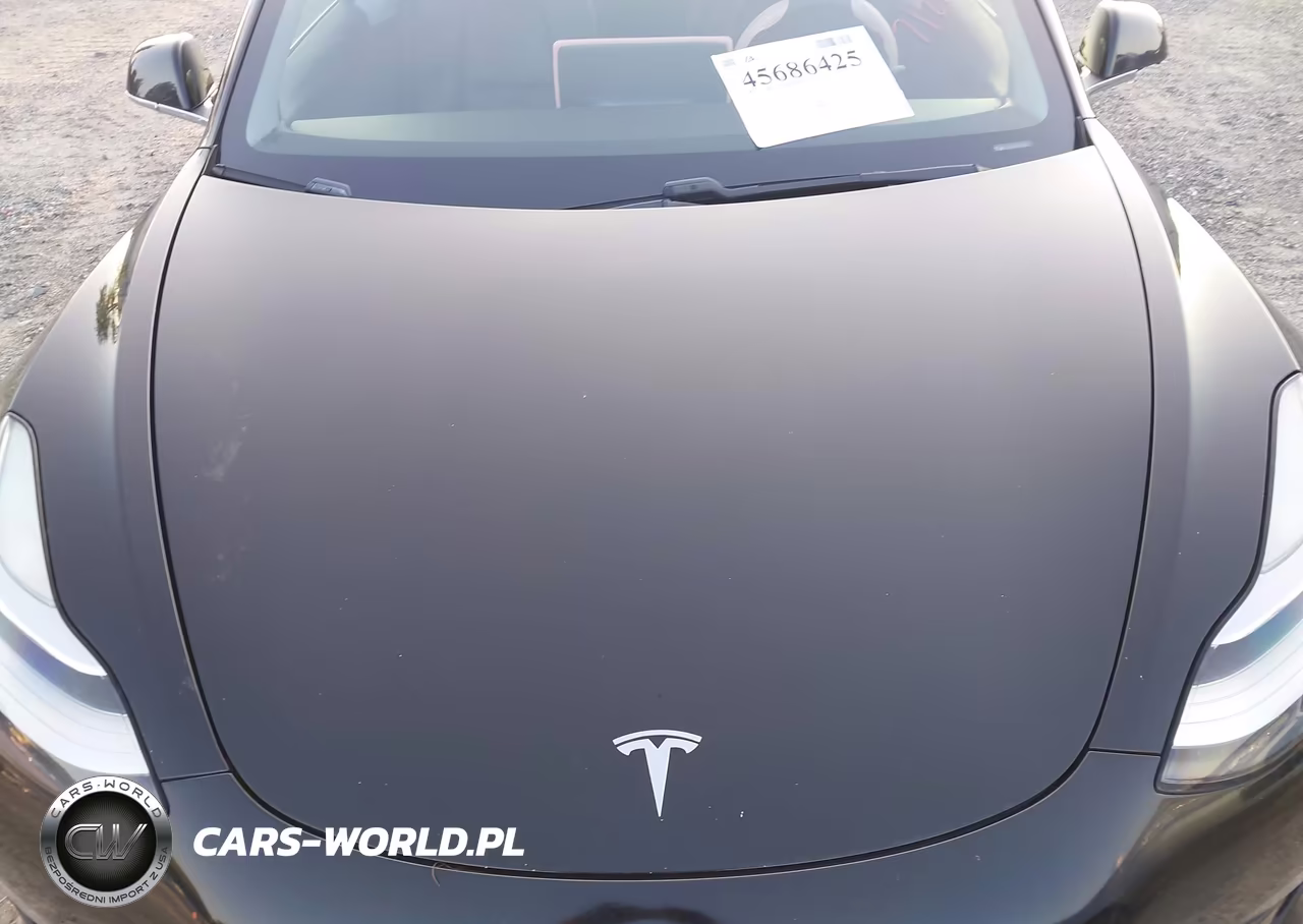 2019 Tesla Model 3 Long Range-Performance VIN:5YJ3E1EB5KF385008 - 10