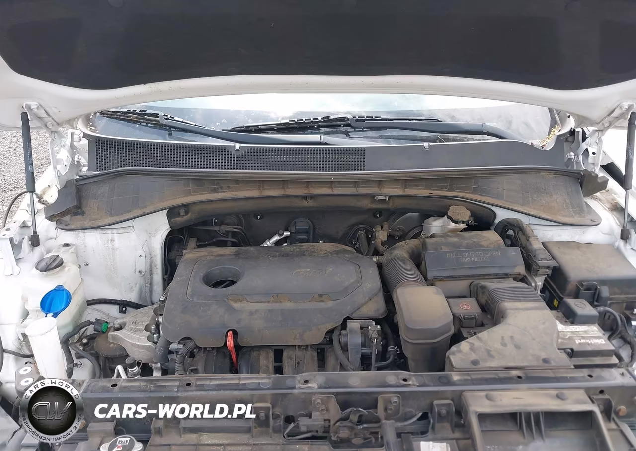 2020 Kia Sorento 2.4L Lx VIN:5XYPG4A31LG706077 - 10