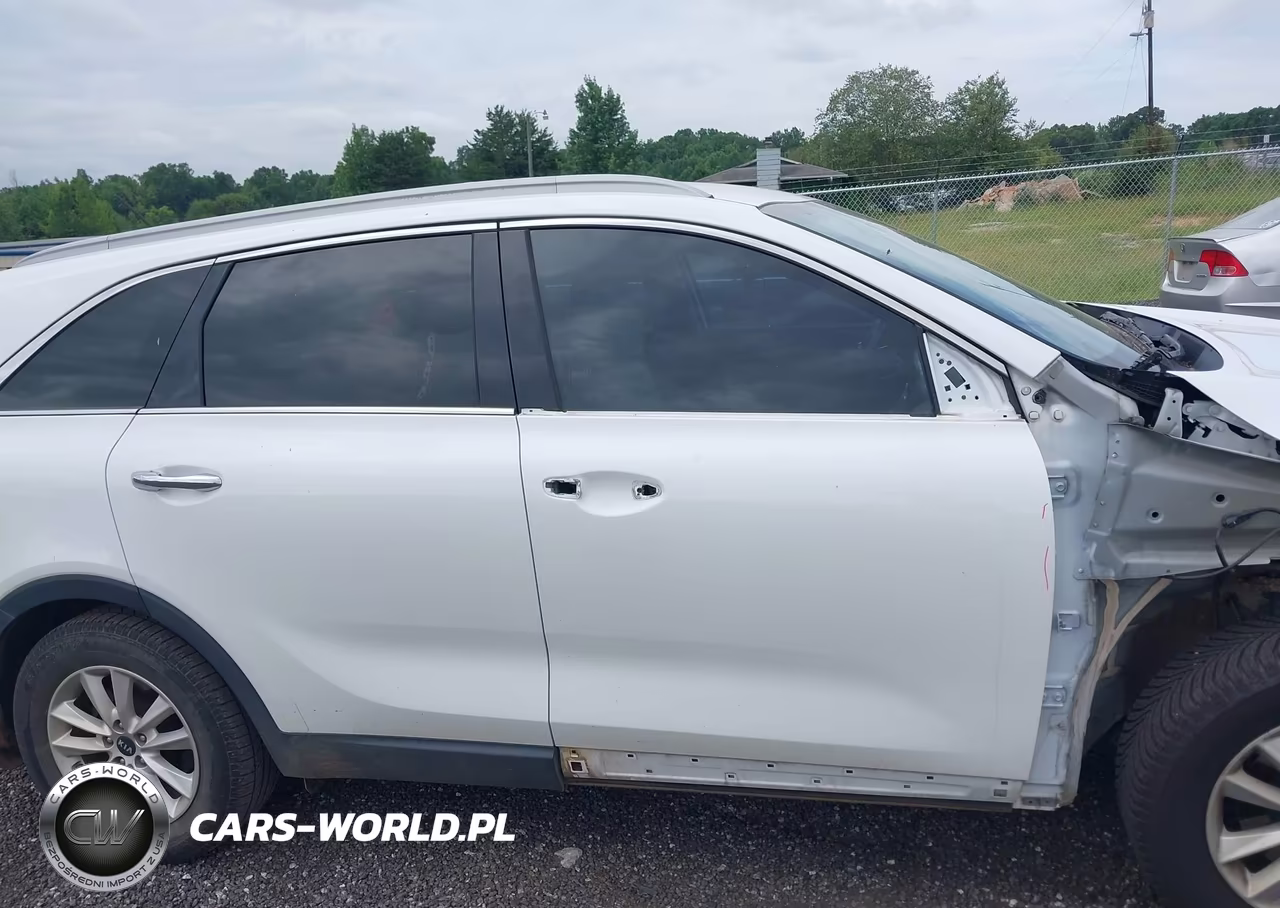 2020 Kia Sorento 2.4L Lx VIN:5XYPG4A31LG706077 - 13