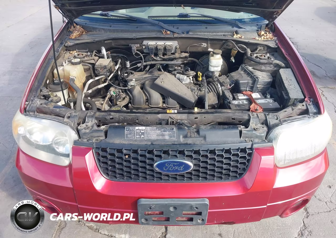 2005 Ford Escape Limited VIN:1FMCU94115KC22126 - 10