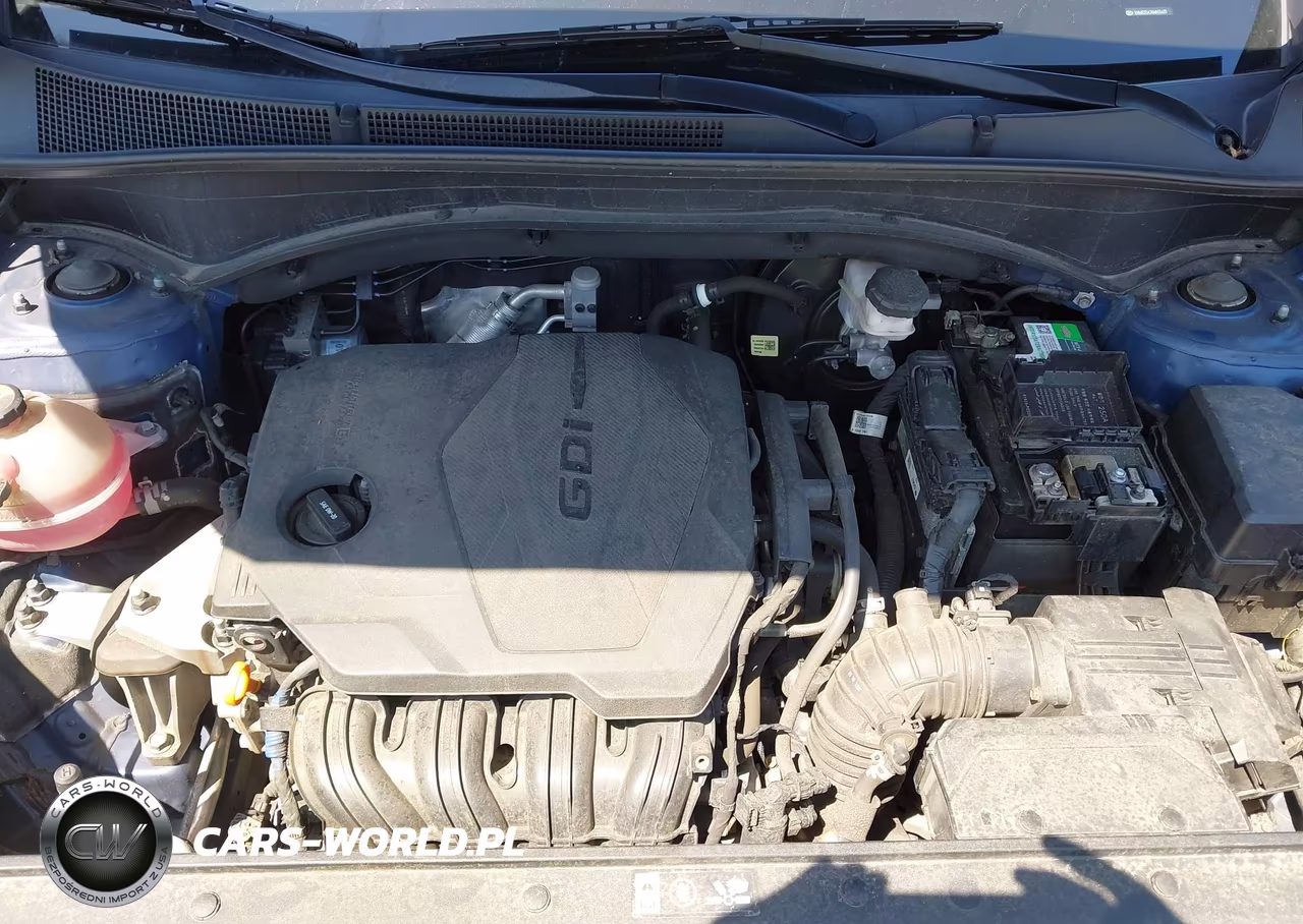 2021 Hyundai Santa Fe Sel VIN:5NMS2DAJ4MH356121 - 10