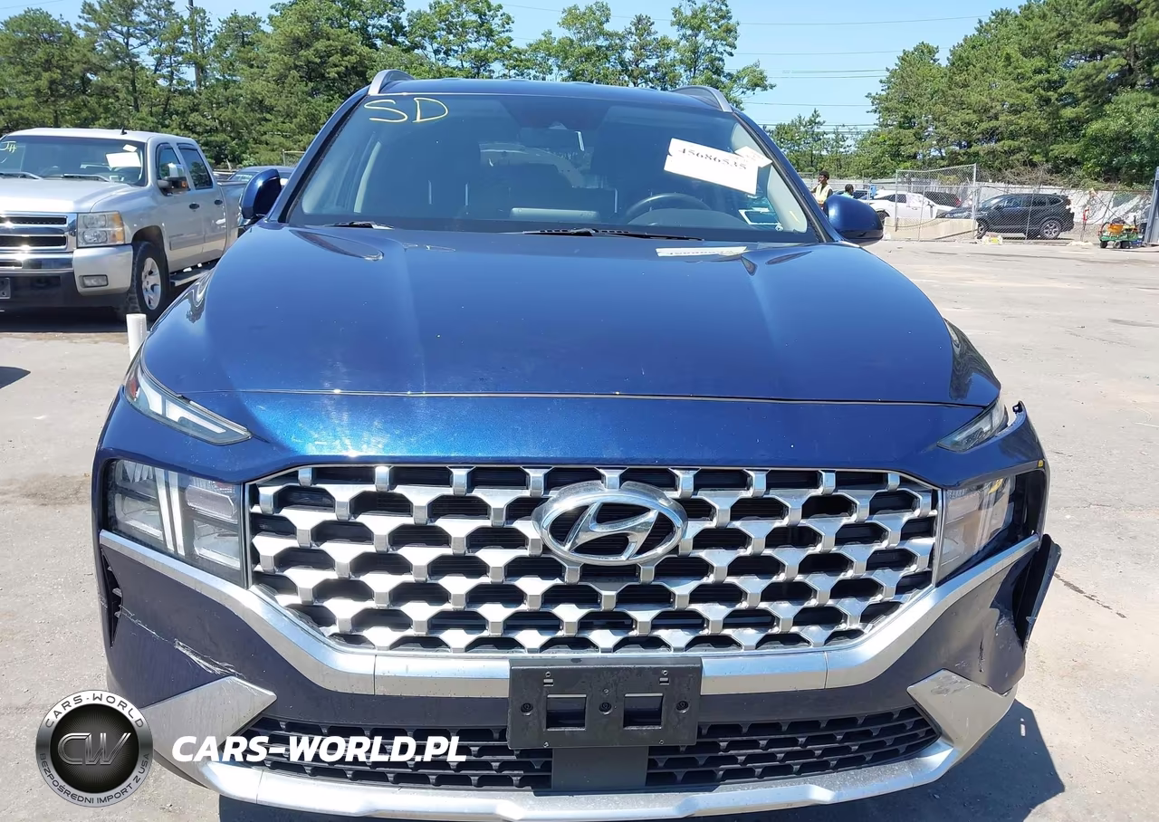 2021 Hyundai Santa Fe Sel VIN:5NMS2DAJ4MH356121 - 12
