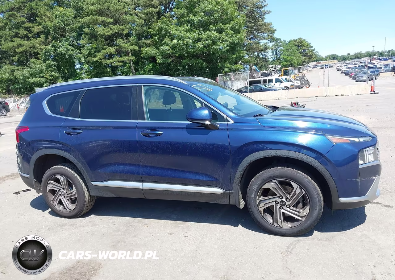 2021 Hyundai Santa Fe Sel VIN:5NMS2DAJ4MH356121 - 13