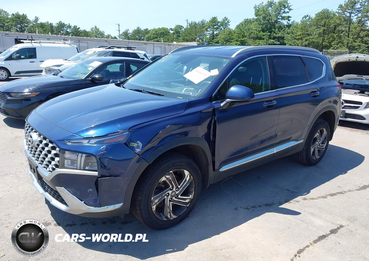 2021 Hyundai Santa Fe Sel VIN:5NMS2DAJ4MH356121 - 2