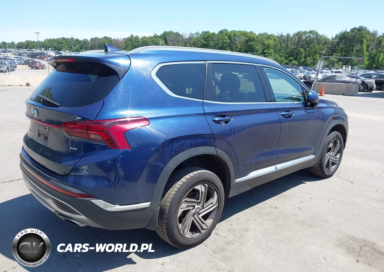2021 Hyundai Santa Fe Sel VIN:5NMS2DAJ4MH356121 - 4