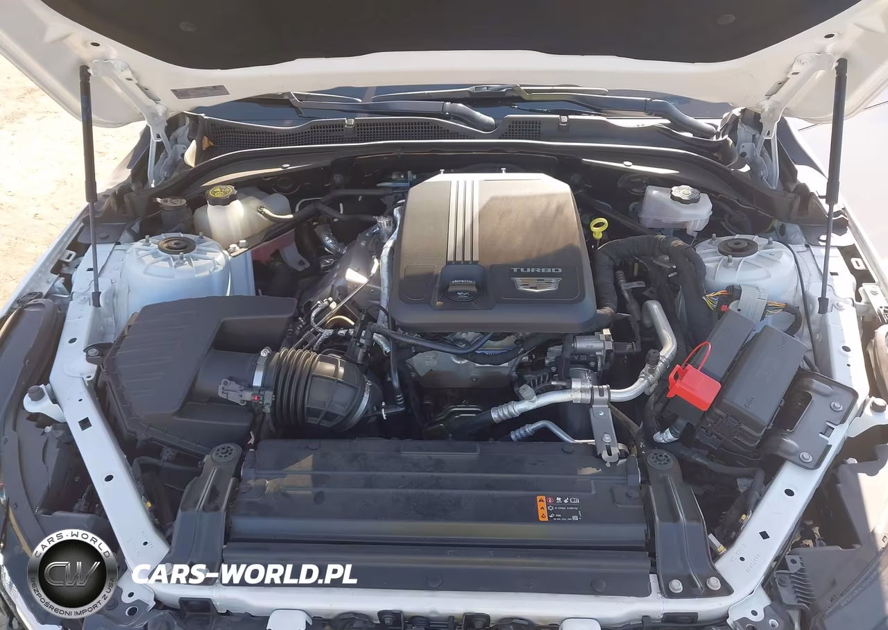 2022 Cadillac Ct4 Luxury VIN:1G6DK5RK0N0107332 - 10