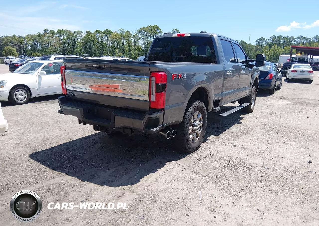 2023 Ford F-350 Platinum VIN:1FT8W3BT8PED61435 - 4