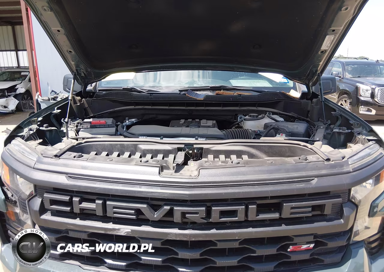 2025 Chevrolet Silverado 1500 4Wd Short Bed Custom Trail Boss VIN:3GCPKCEK9SG318900 - 10