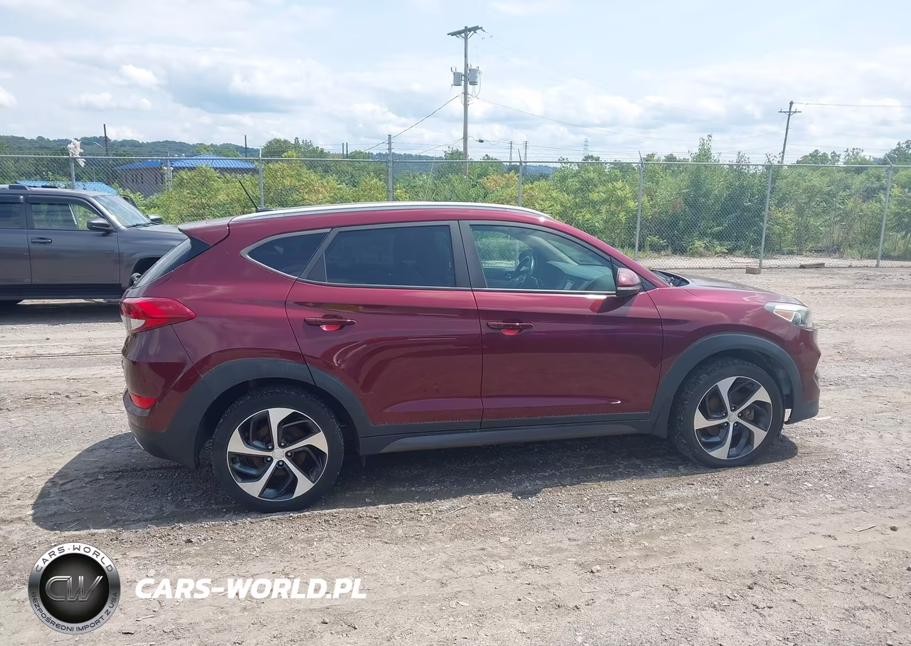 2016 Hyundai Tucson Sport VIN:KM8J3CA29GU223570 - 13
