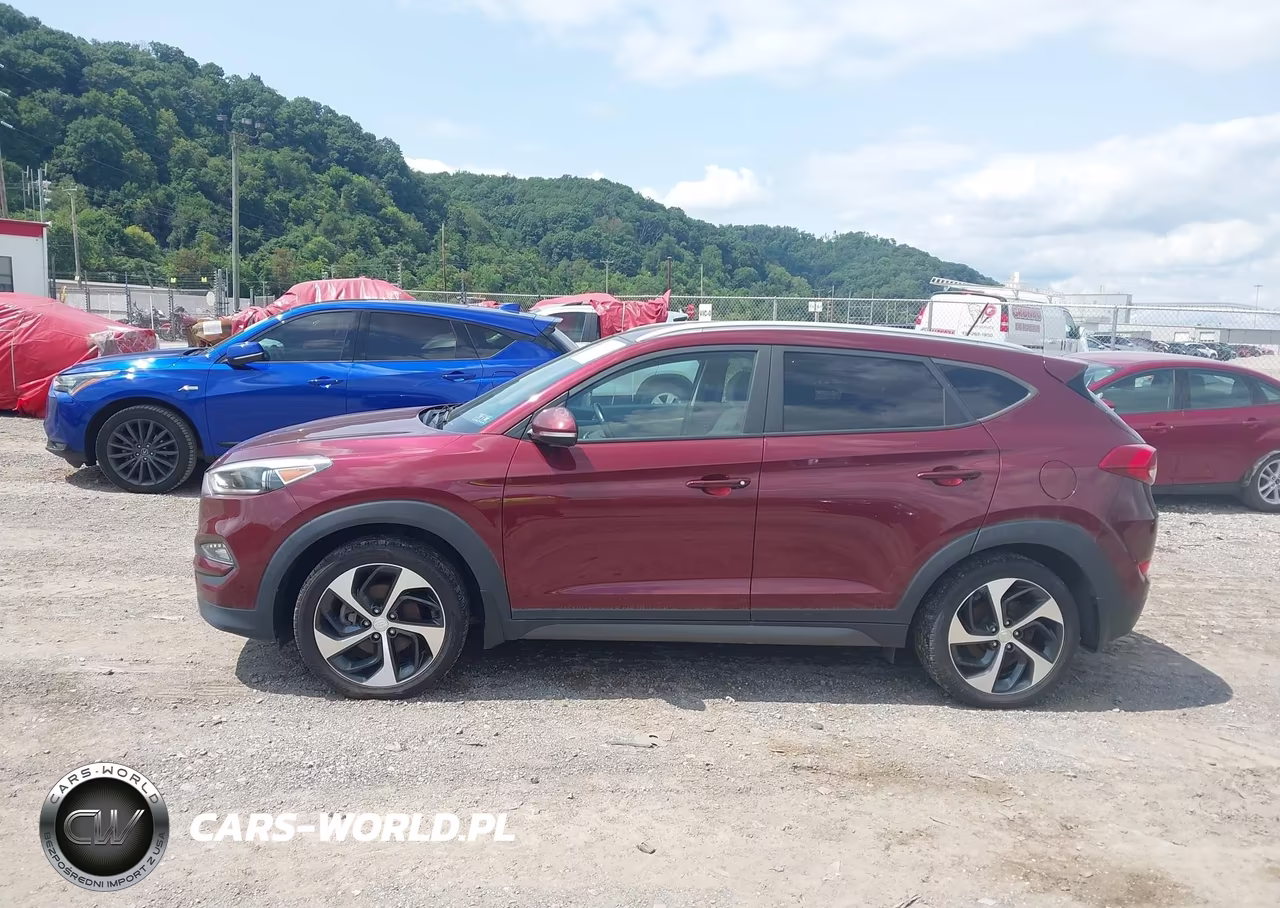 2016 Hyundai Tucson Sport VIN:KM8J3CA29GU223570 - 14