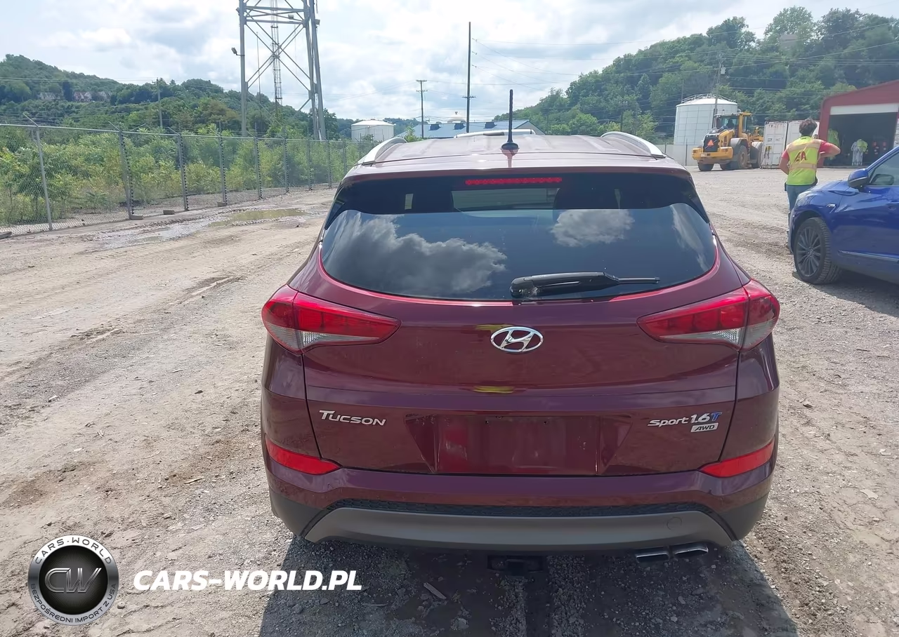 2016 Hyundai Tucson Sport VIN:KM8J3CA29GU223570 - 16