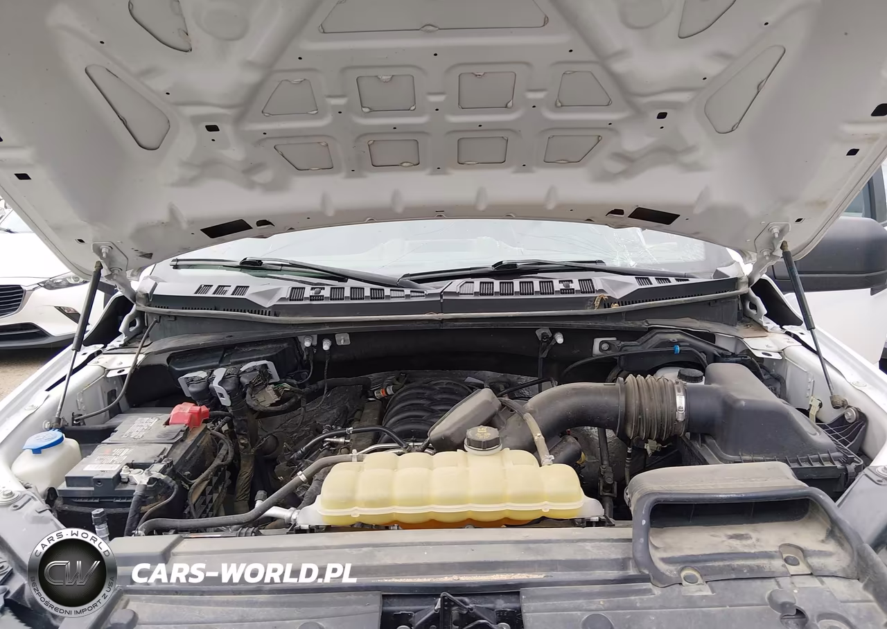 2020 Ford F-150 Xl VIN:1FTEW1E50LKE24530 - 10