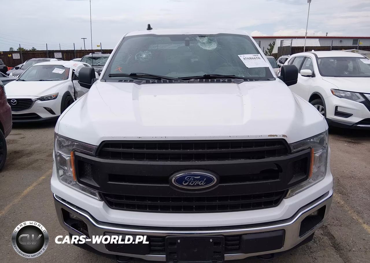 2020 Ford F-150 Xl VIN:1FTEW1E50LKE24530 - 12