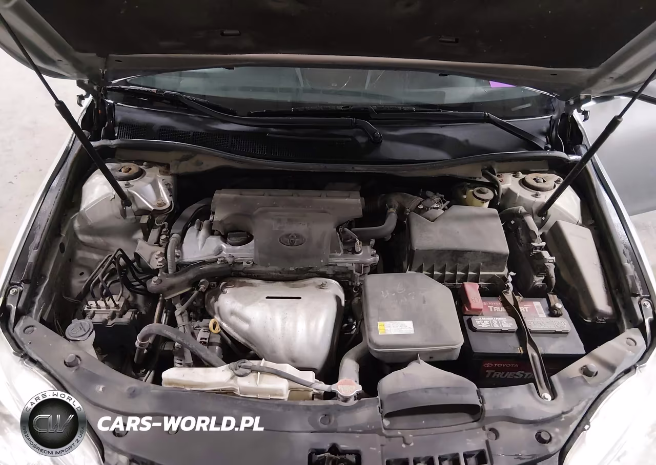 2016 Toyota Camry Se VIN:4T1BF1FK0GU201756 - 10