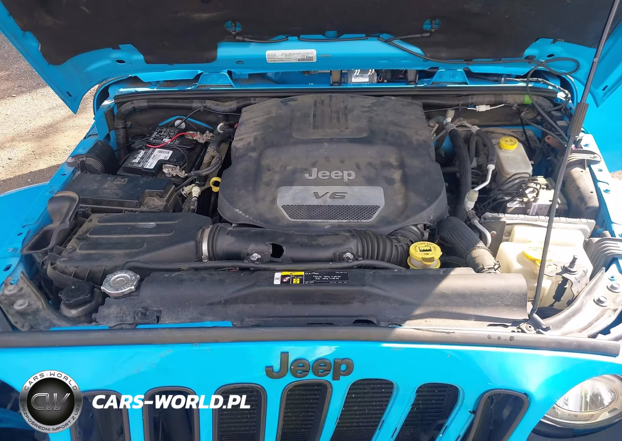 2017 Jeep Wrangler Winter VIN:1C4AJWBG3HL565917 - 10