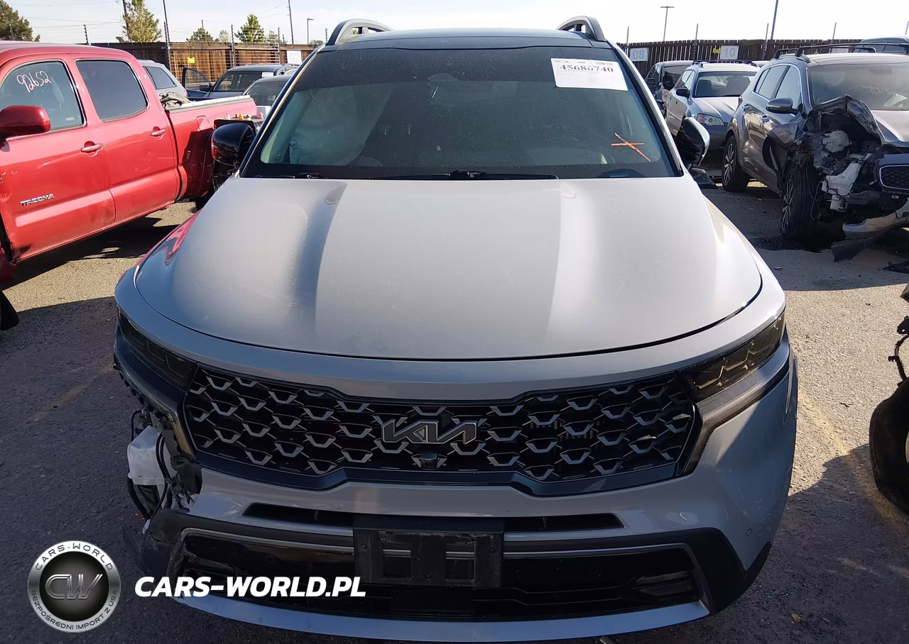 2023 Kia Sorento X-Line Sx Prestige VIN:5XYRKDLF4PG229021 - 13
