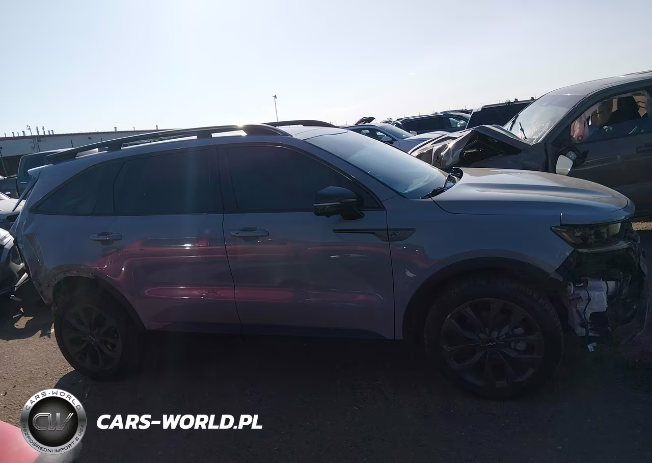 2023 Kia Sorento X-Line Sx Prestige VIN:5XYRKDLF4PG229021 - 14