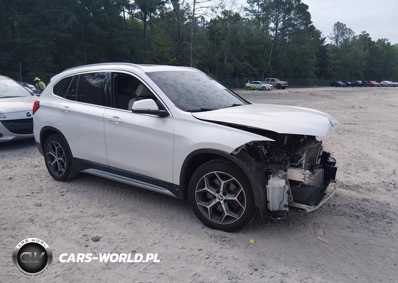 2019 BMW X1 Sdrive28I – zdjęcie 1 z 17