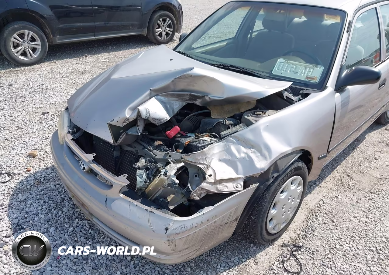 1999 Toyota Corolla Ce VIN:1NXBR12E9XZ221818 - 6