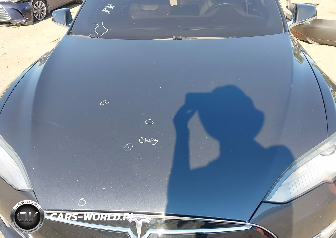 2015 Tesla Model S VIN:5YJSA1H24FF098185 - 10