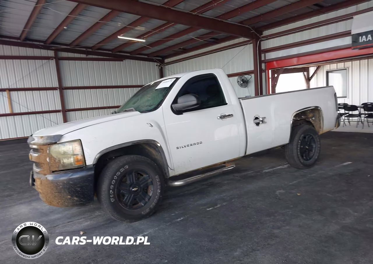 2012 Chevrolet Silverado 1500 Work Truck VIN:1GCNCPEX2CZ266289 - 2